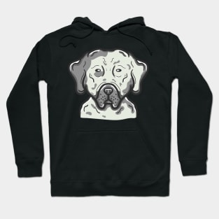 Cute Catahoula Dog Hoodie